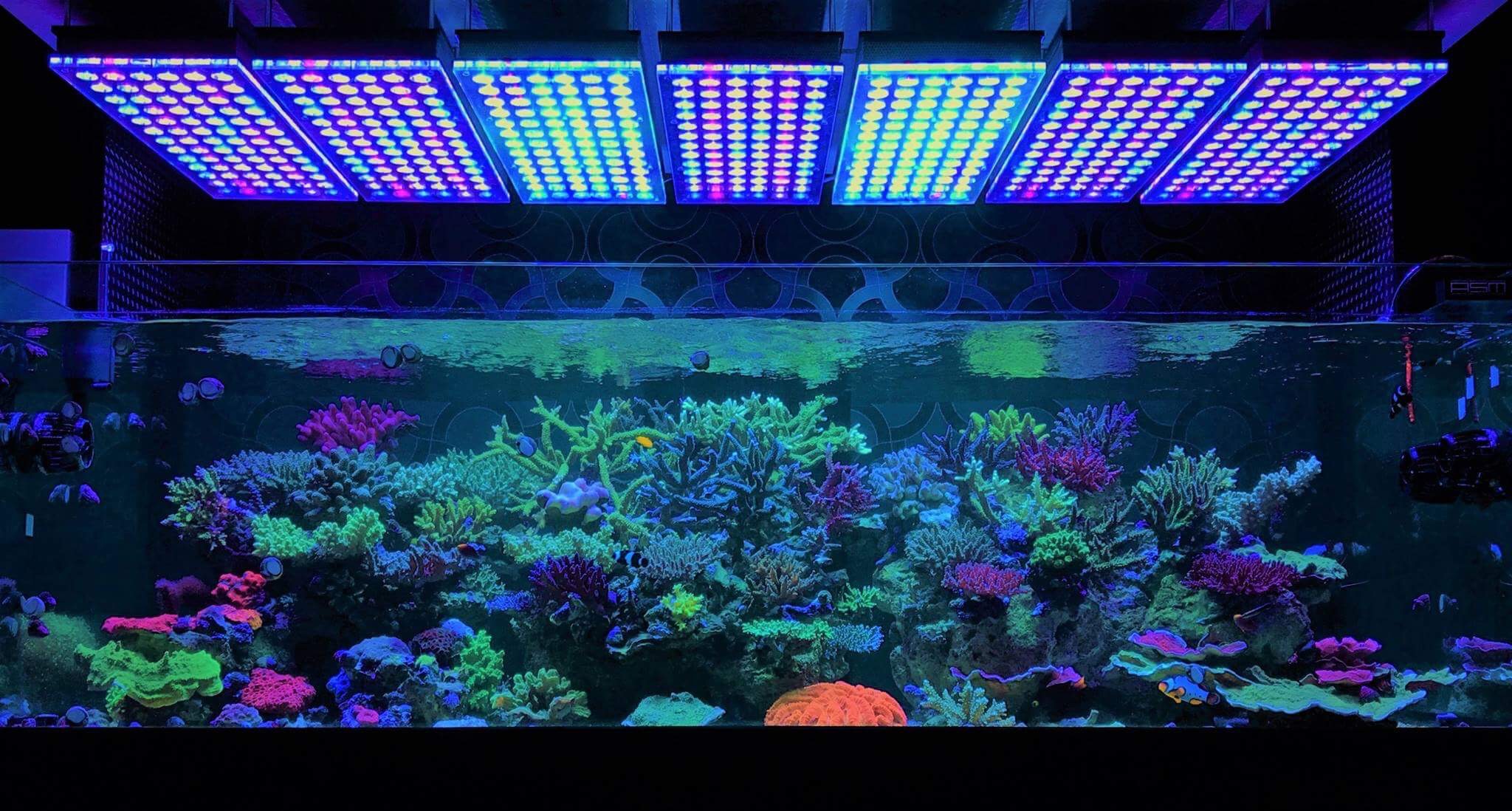 Orphek-Atlantik-v4-LED-Aquarium-light.jpg