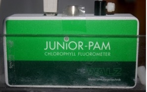 fluorometer.jpg