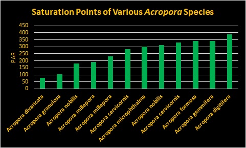 Saturation-Points-of-Acropora-species.jpg