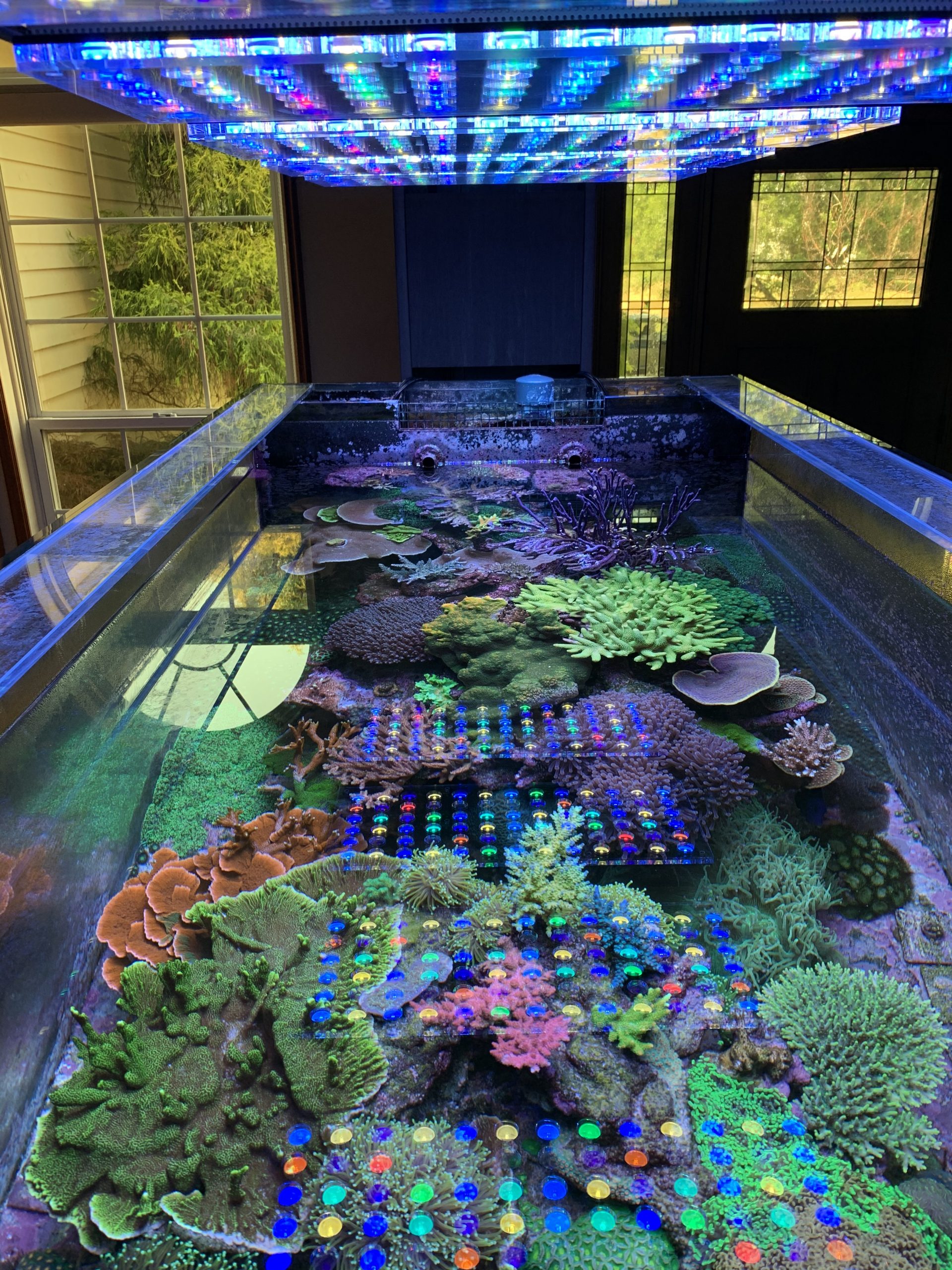 Amazing-400-gallon-Reef-aquarium-Lighting-by-5-Orphek-Atlantik-V4-scaled.jpg