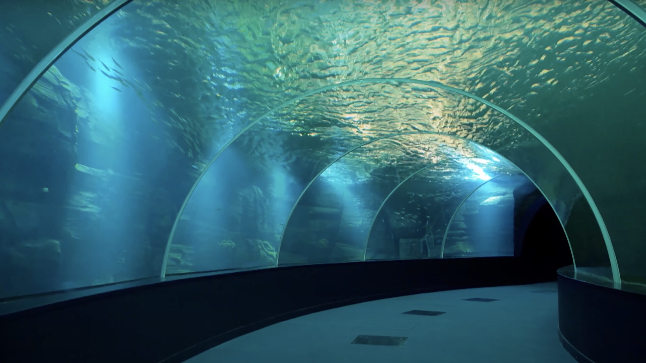 public-aquarium-tunel-led-light-scaled.jpg