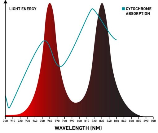 infrared-mini-wavelengths-510x430.jpg