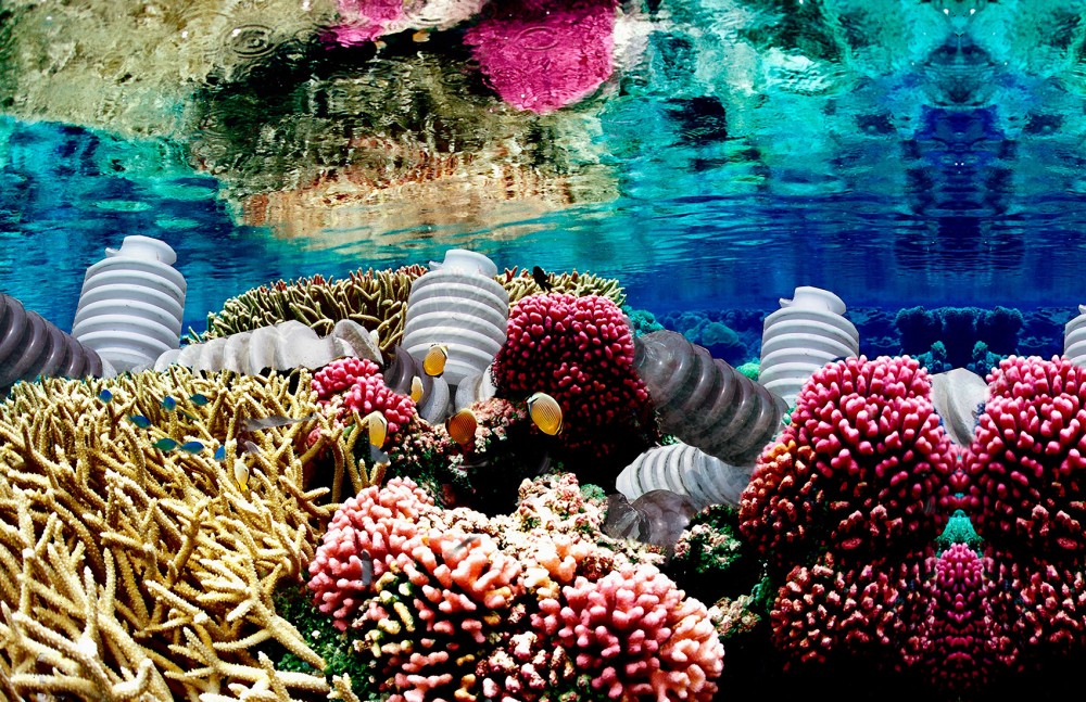 Costa-Rica-Coral-Reef.jpg