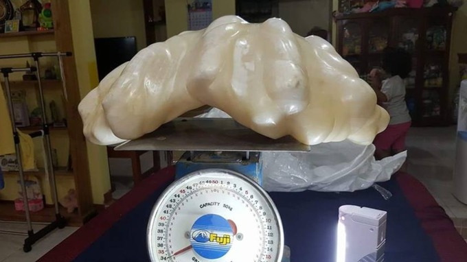 worlds-biggest-pearl-giant-clam.jpg