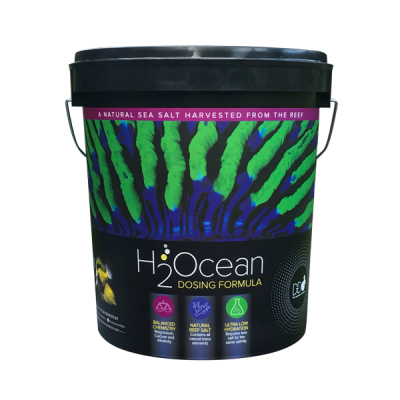 H2Ocean-Dosing-Formula-600px.png