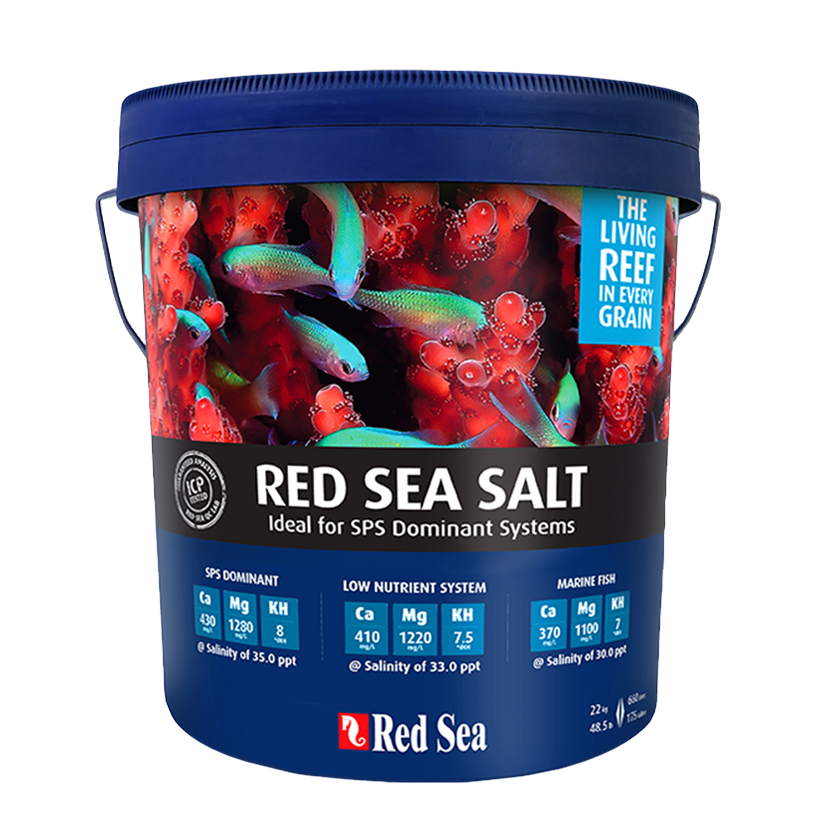 Red-Sea-Salt.png