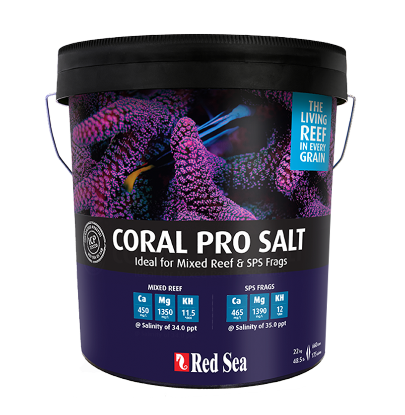 coral-pro-salt-image-4-1.png