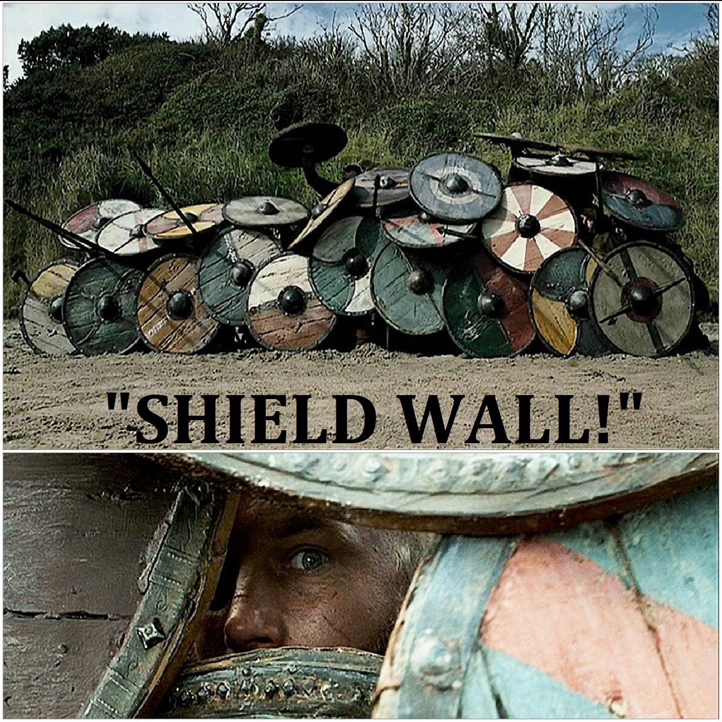 5.ShieldWall.jpg