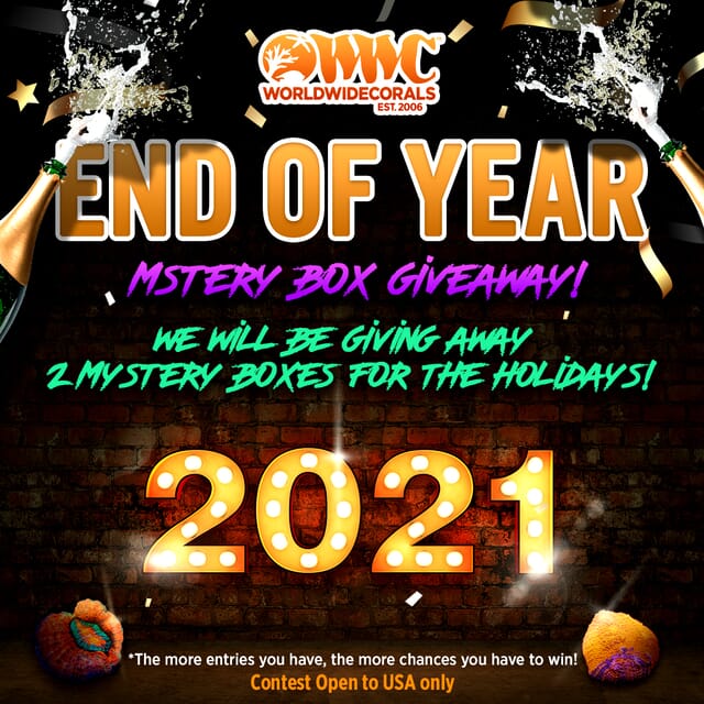 2021-Year-Ending-Blowout-Sale-Mstery-Box-Giveaway-Version-1.jpg