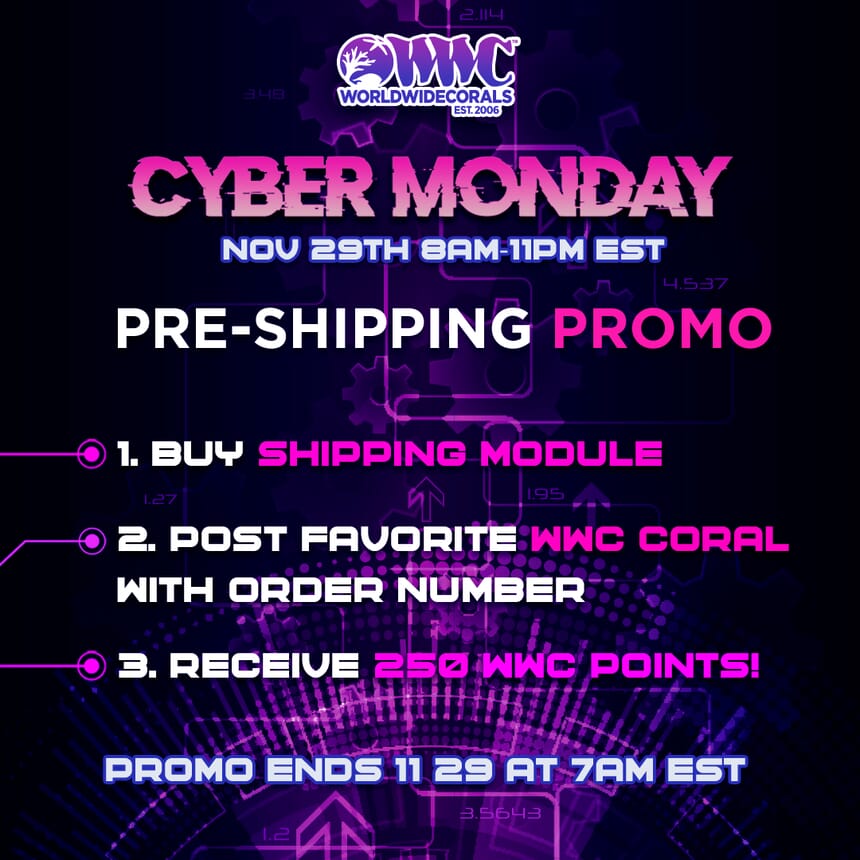 Cyber-Monday-Pre-Shipping-Promo.jpg