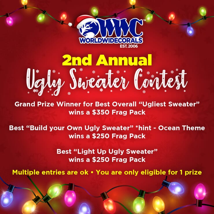 ugly_sweater_contestSM1x1.jpg