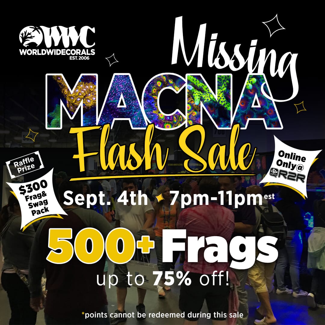missing_macna_flashsale2020SM1x1.jpg