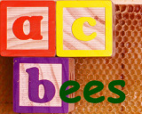 www.acbees.org