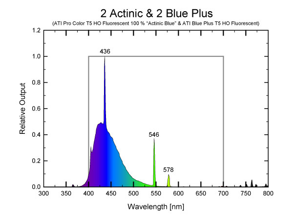 2-actinic-2-blue-plus.jpg