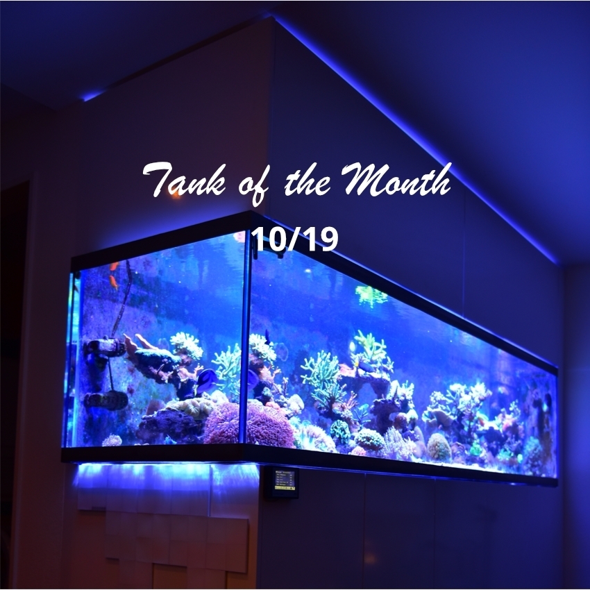 www.aquariumcomputer.com