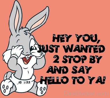 Hey-You-Just-Wanted-2-Stop-By-And-Say-Hello-To-Ya-Bunny-Image.jpg
