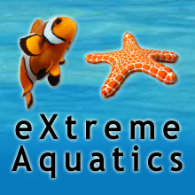 www.extreme-aquatics.com