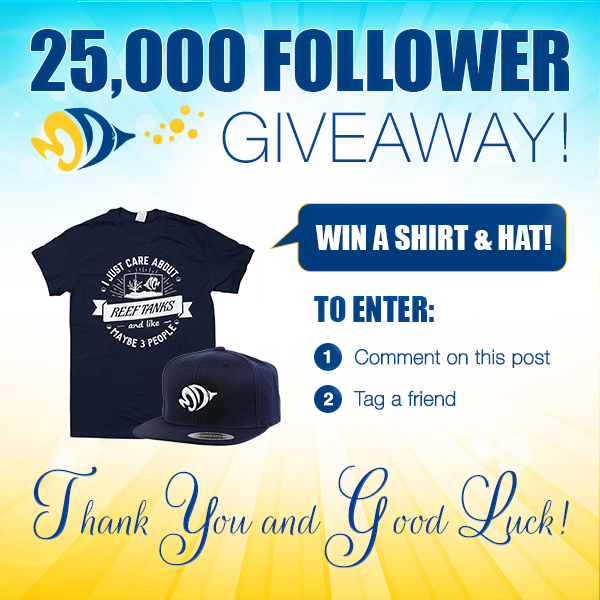 25000-followers-tshirt-and-a-hat-giveaway.jpg