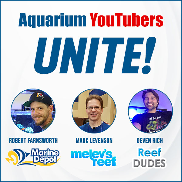 aquarium-youtubers-unite-600x600.jpg