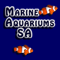 www.marineaquariumsa.com
