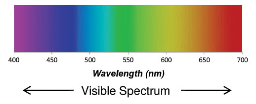 wavelength-nm.jpg