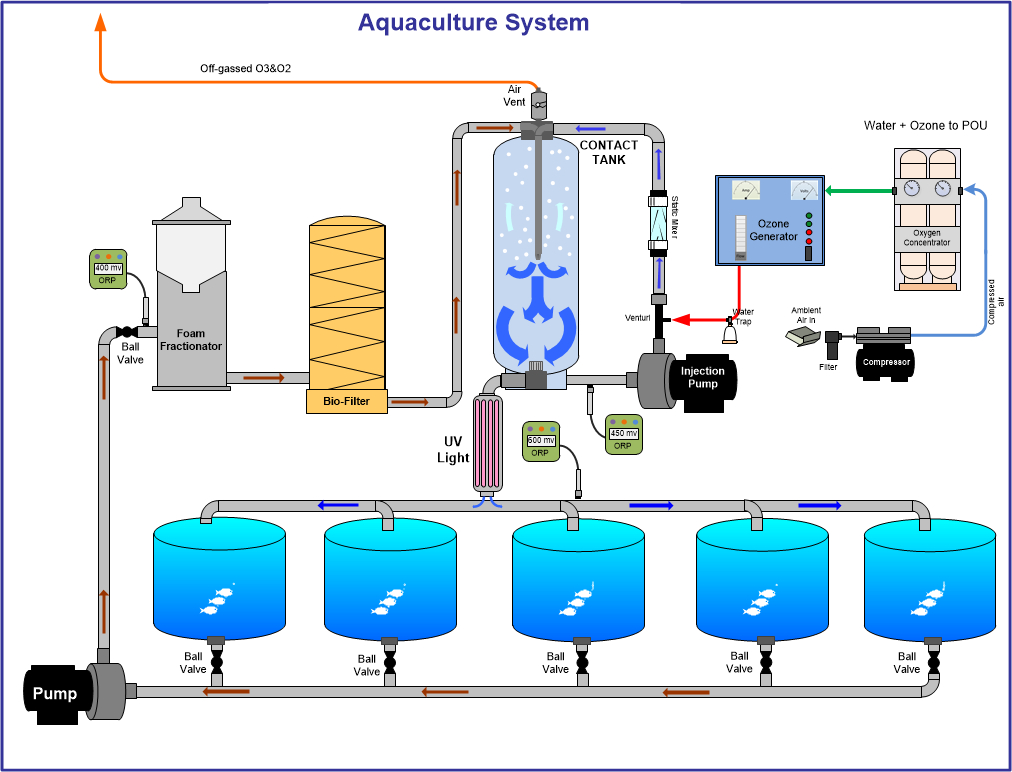 Complete_Aquaculture_System.png