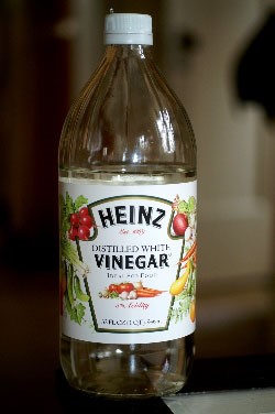 vinegar vinegar