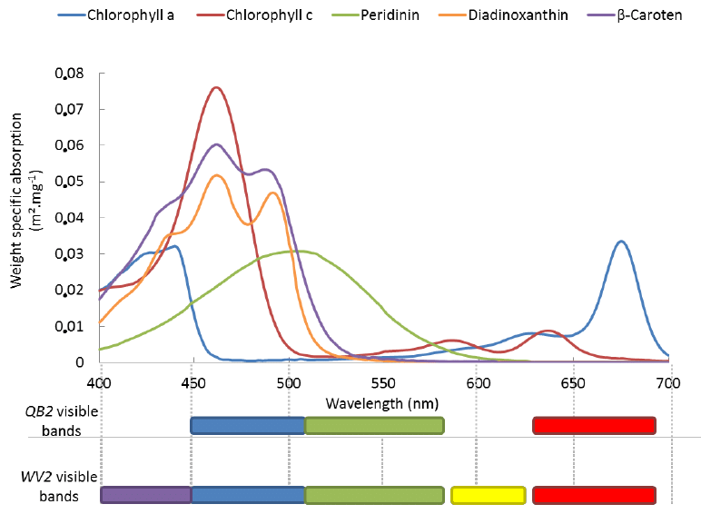 Absorption-spectra-of-the-five-zooxanthellae-pigments-in-respect-to-both-spectral.png