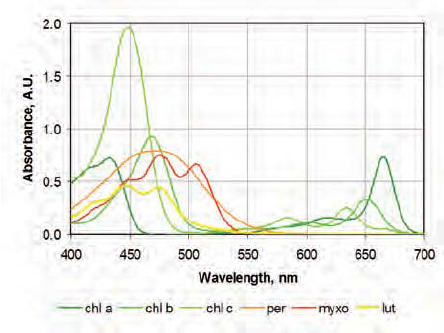Absorption-spectra-of-chlorophylls-a-b-and-c-and-the-2-carotenoids-peridinin-per.png