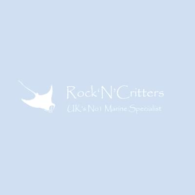 www.rockncritters.co.uk