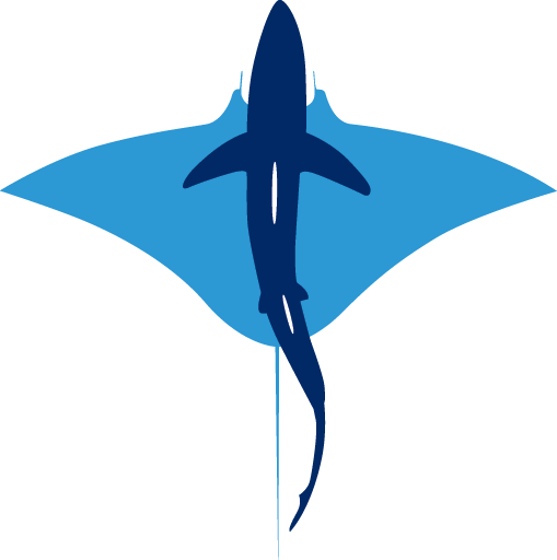 www.sharksandrays.com