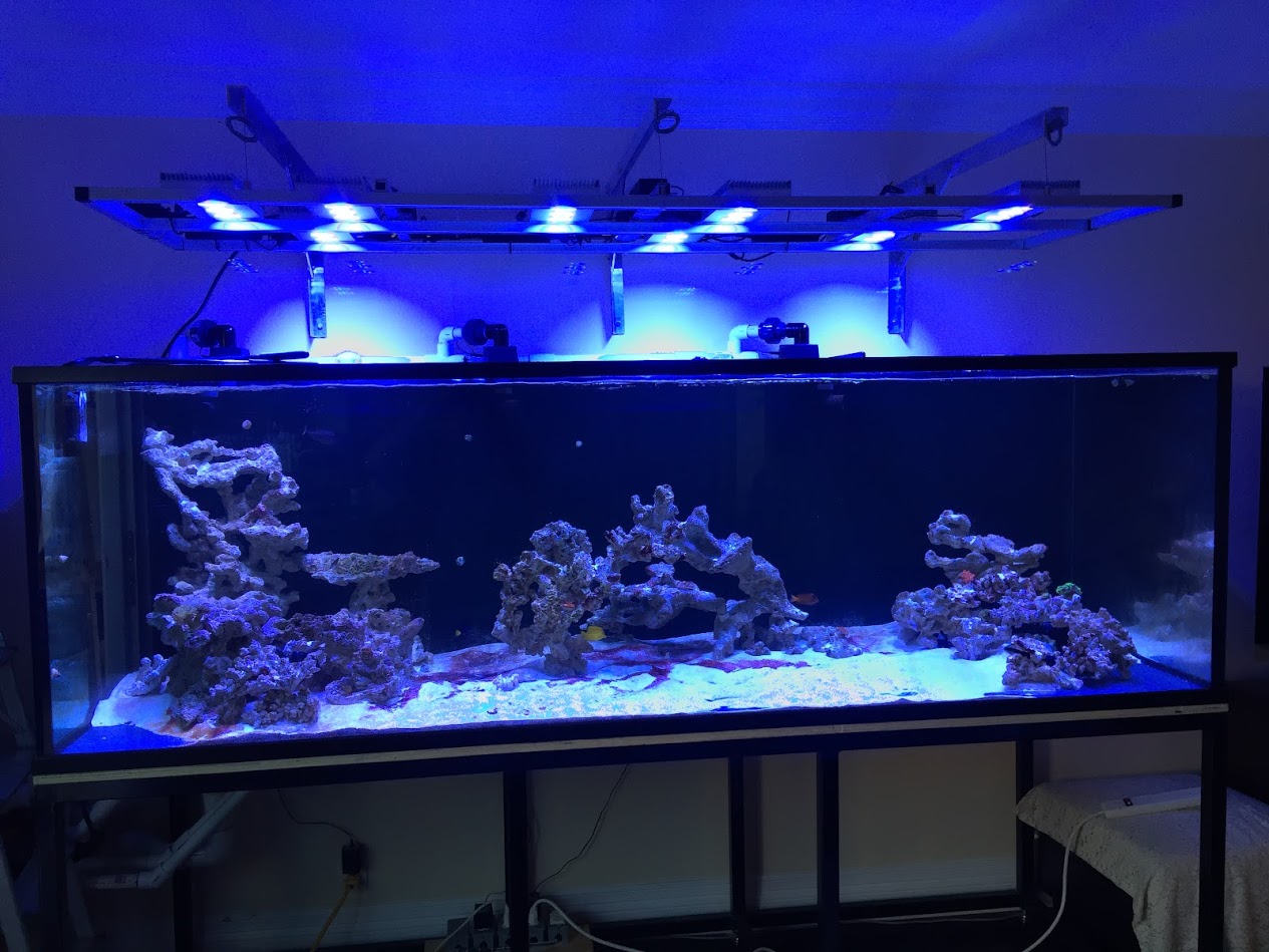 Please post your hardscape for inspiration! | Page 2 | REEF2REEF ...