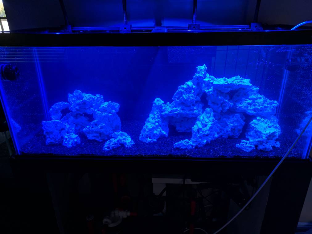 Show me your 75 gallon aquascapes | REEF2REEF Saltwater and Reef ...