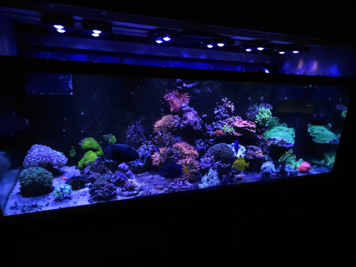 20230805_195704.jpg