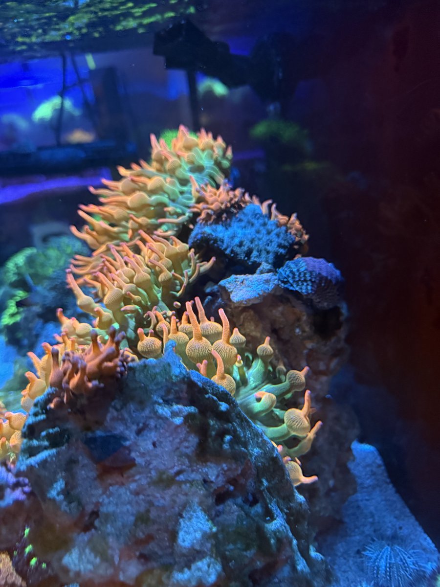 IMG_3482.jpeg