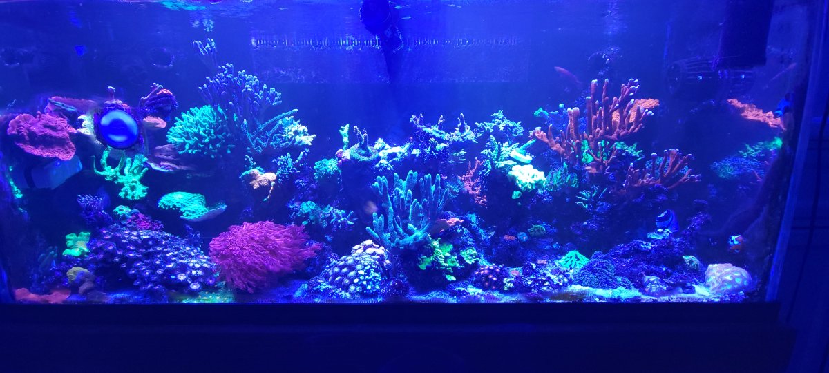 20250629_210631.jpg