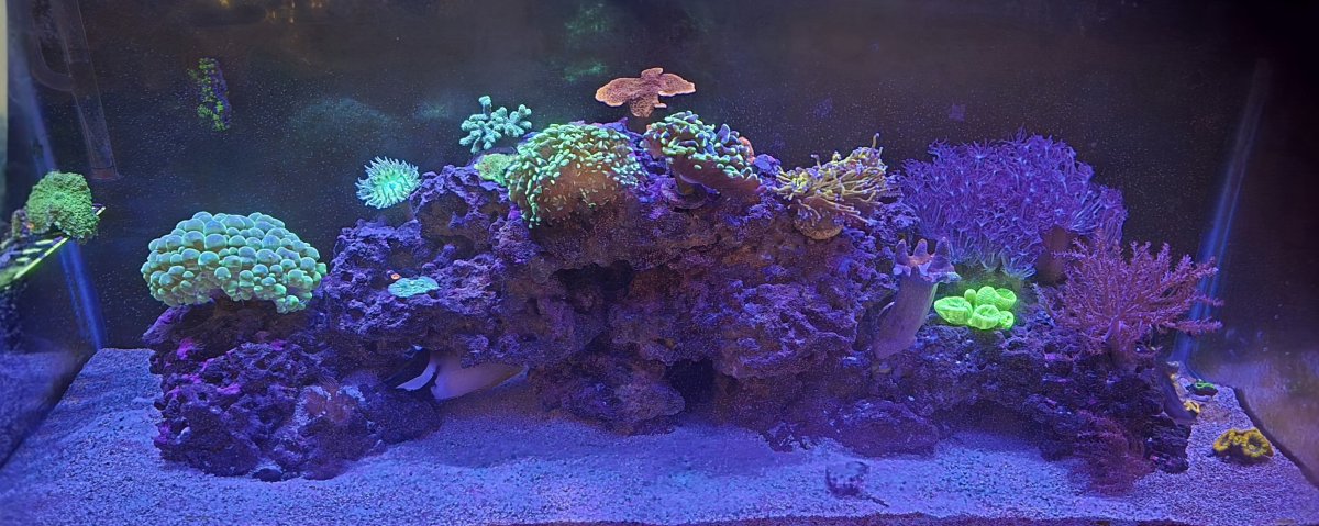 20250221_172049.jpg