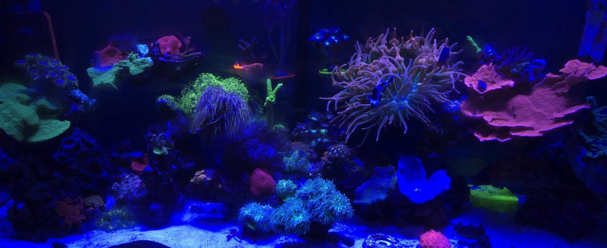 20250421_102624.jpg