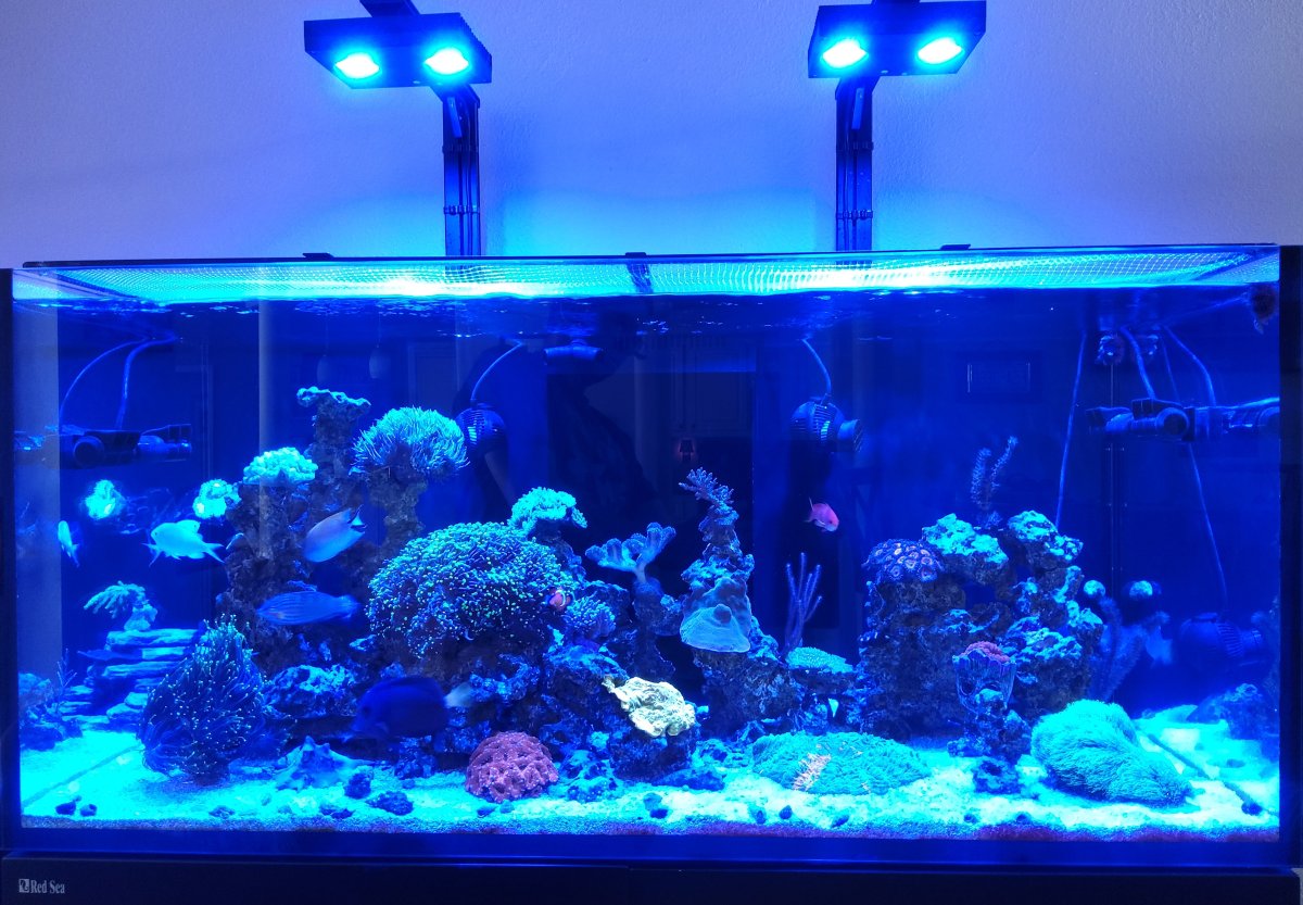 20230614_133800.jpg