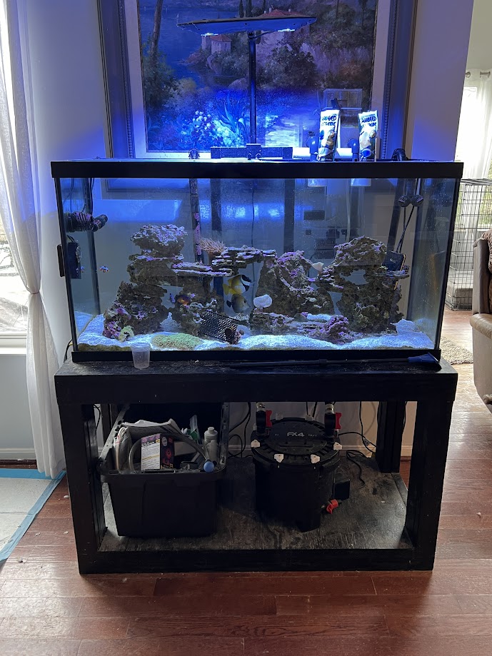 90g.JPG