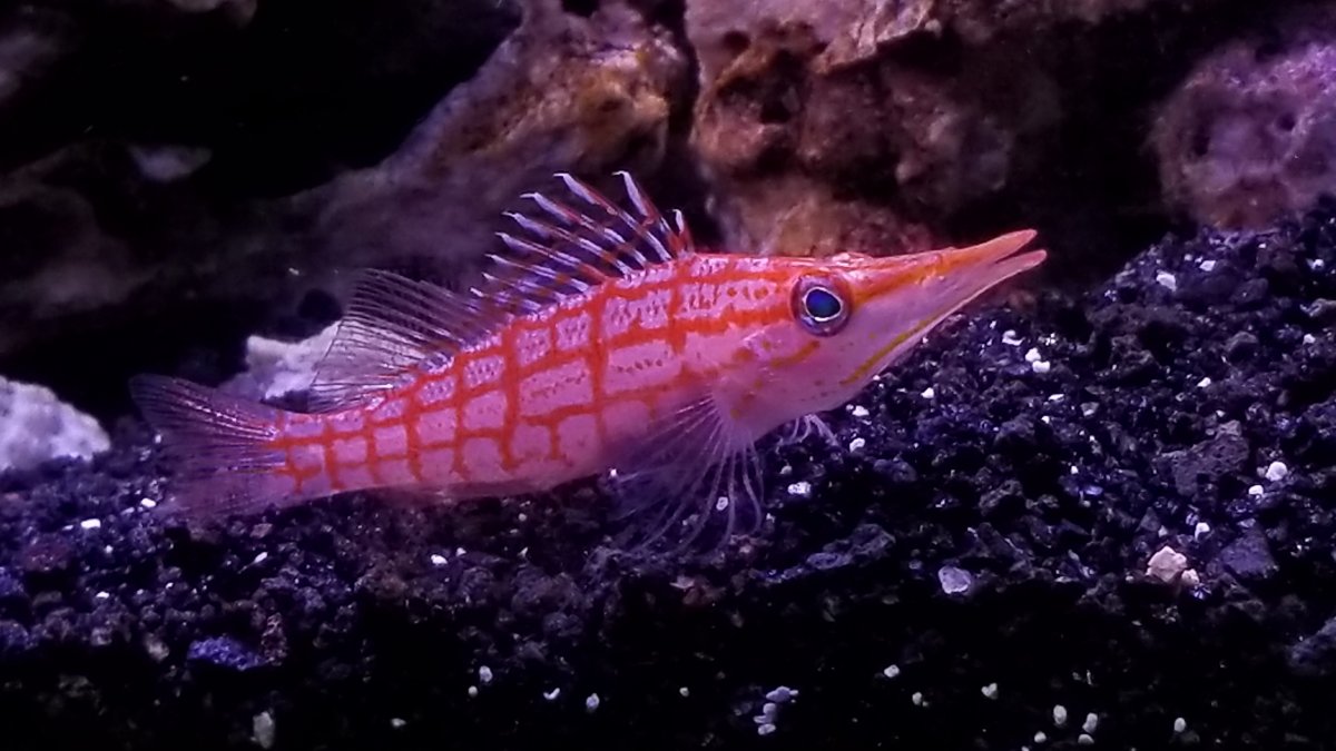 20180507_181413.jpg