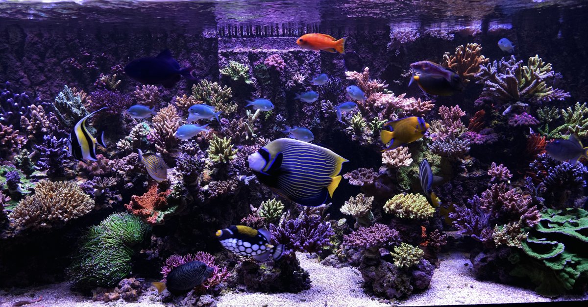 20230718_134144.jpg