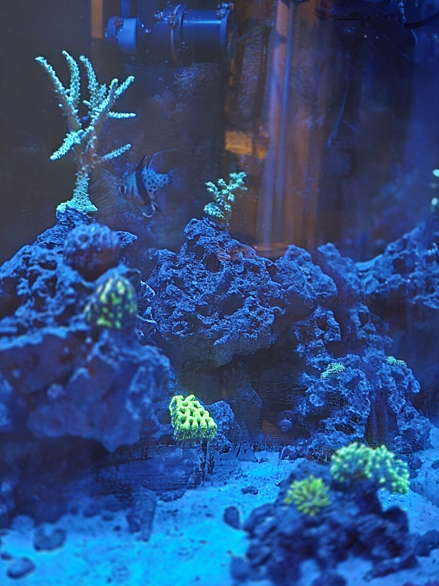 20250701_211559.jpg