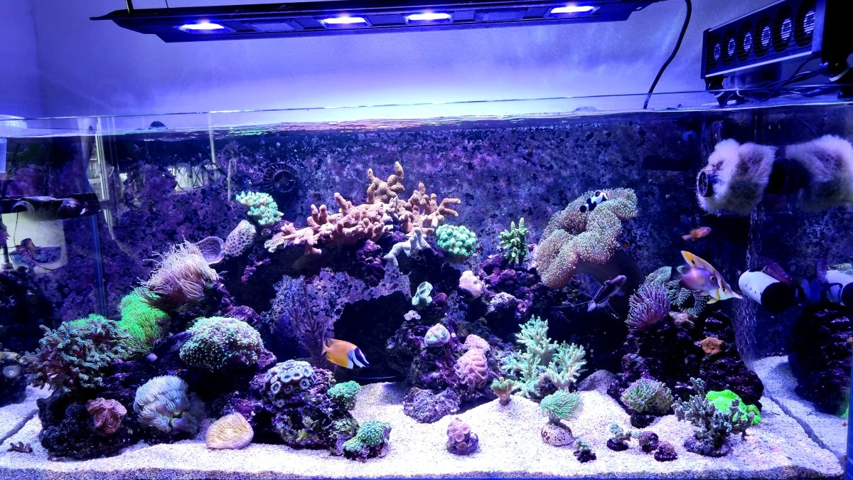 20230826_170638.jpg