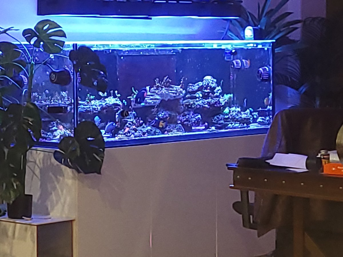 20231220_180047.jpg