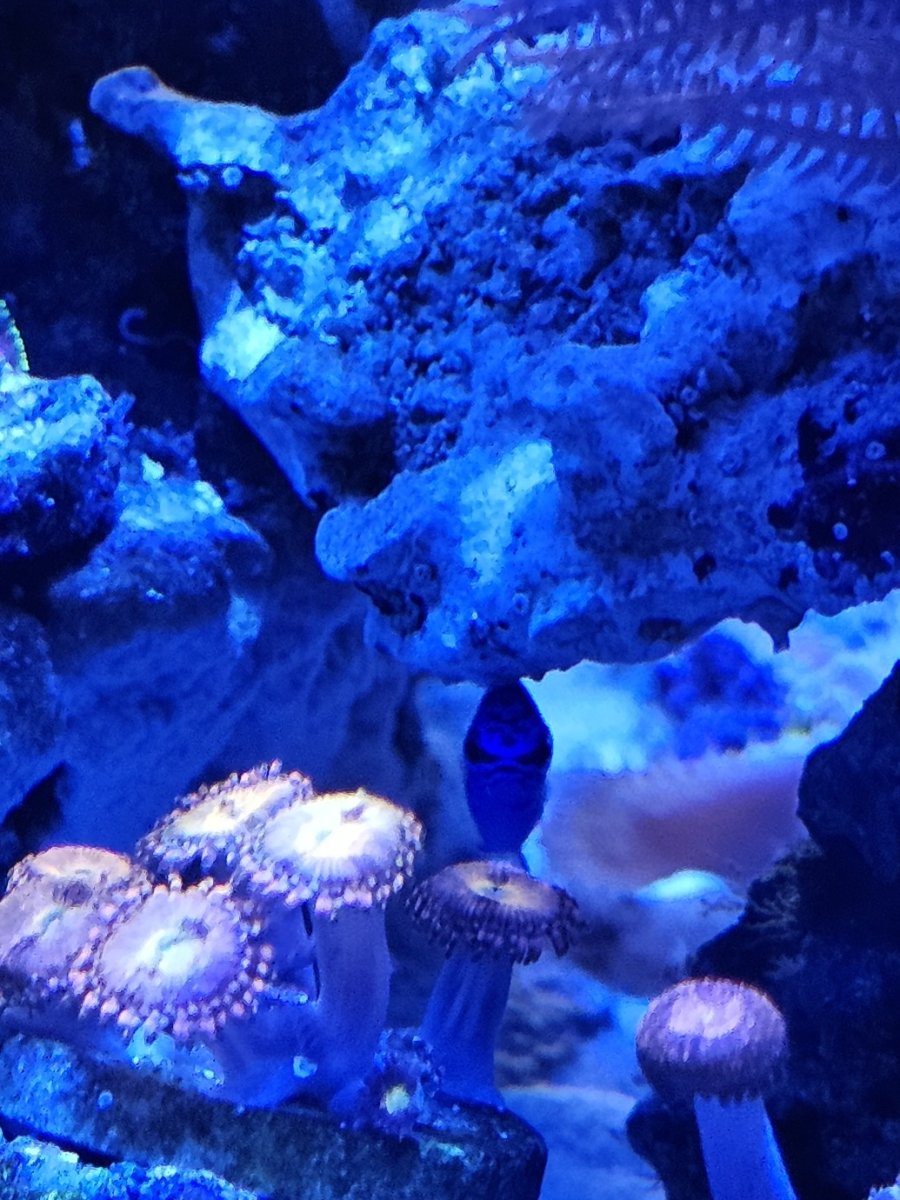 20250517_134446.jpg
