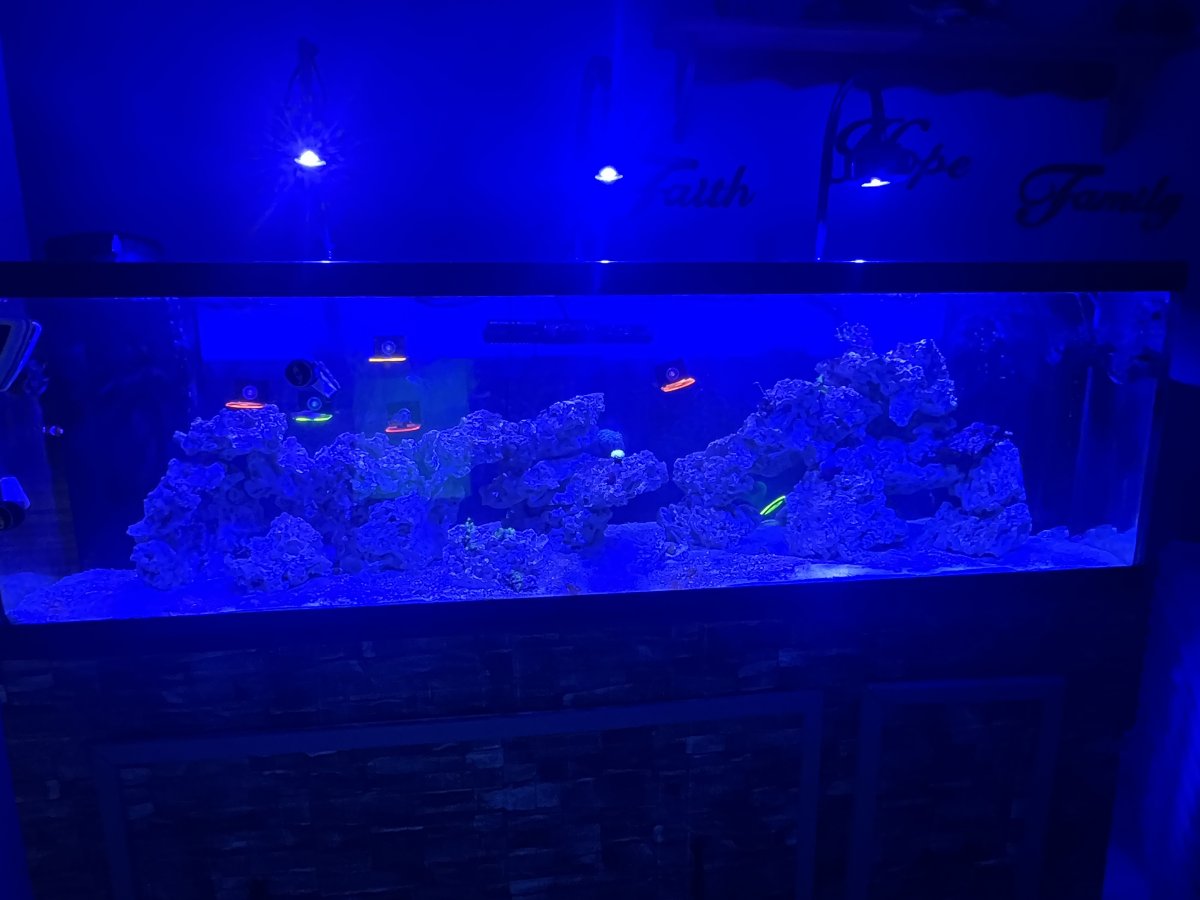 IMG_9866.jpeg