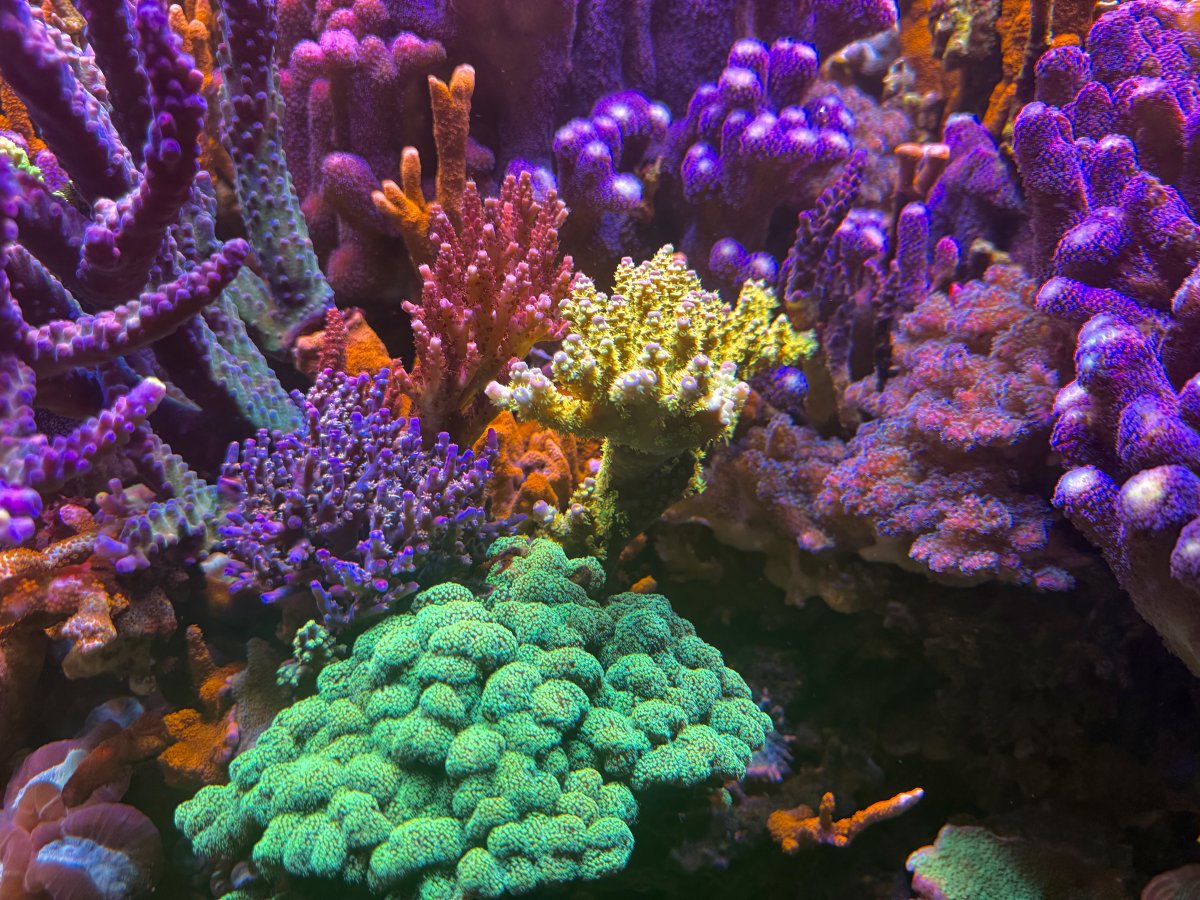IMG_5750.jpeg