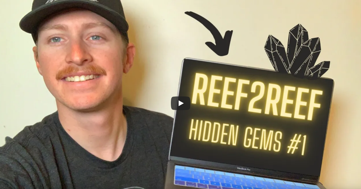 Screenshot 2023-11-06 at 18-30-57 Reef2Reef- Hidden Gems Episode #1.png