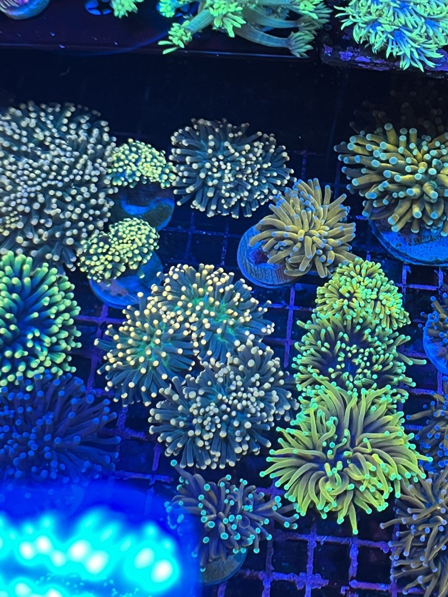 c6825230d3bd4065a4ddce8947856c68.jpg